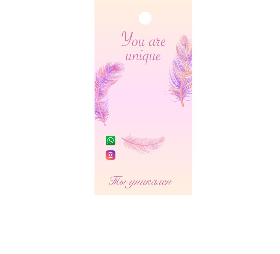12556648_4991697-4.png