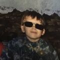 isourshark28