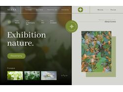 Web desing