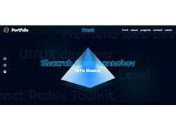 Портфолио