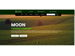Работа для портфолио