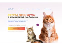 Котики