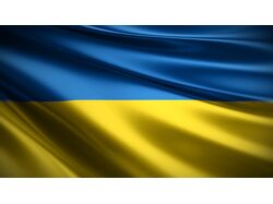 Занимаюсь не только переводами текстов, могу сделать описание чего-то