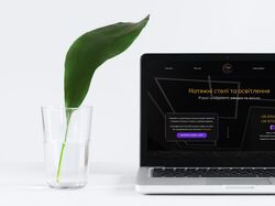 Landing Page для компании по монтажу натяжных потолков