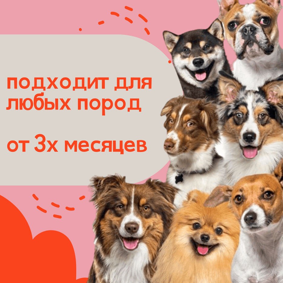Монтажная область 1-5.jpg