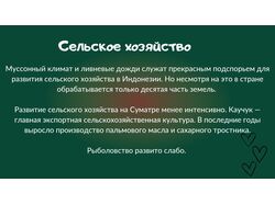 Индонезия. Развитие экономики