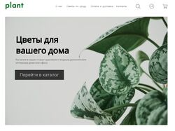 Plant (магазин цветов)