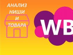 Анализ ниши и товара через MPstats