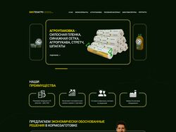 Лендинг