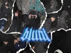 Обложка музыкального альбома "blunt"