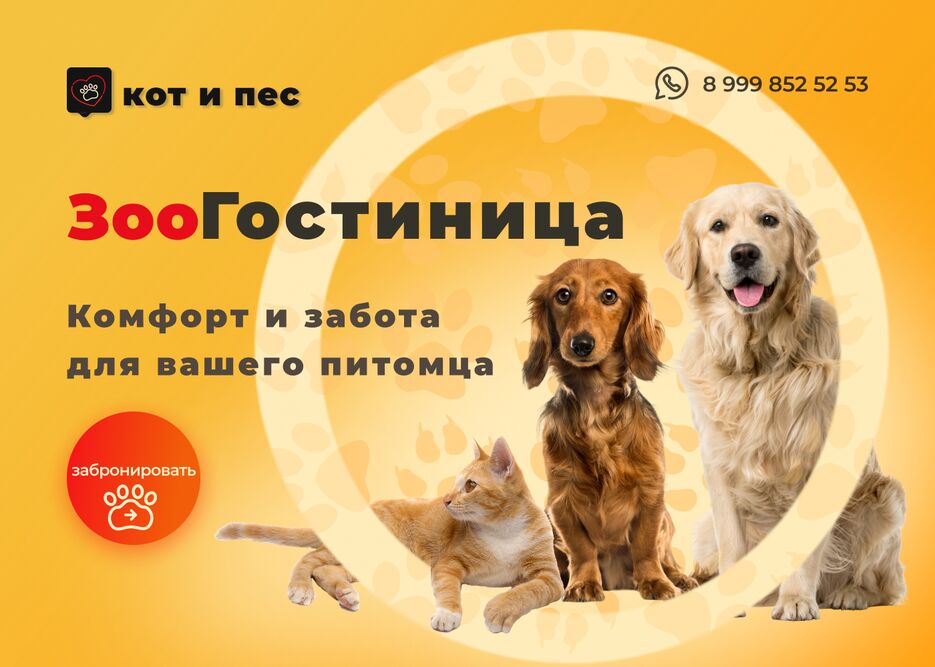 баннер 4.0.png