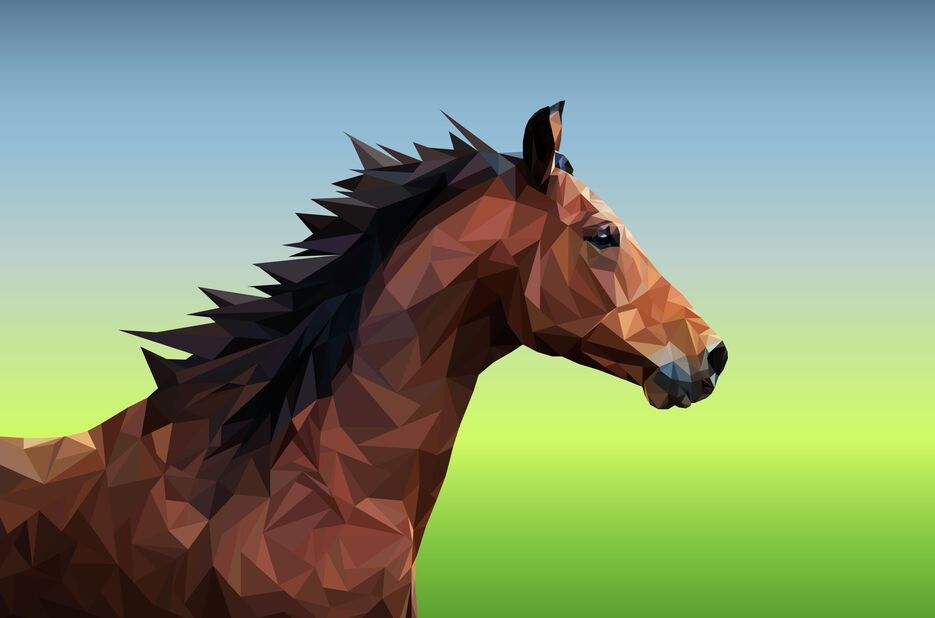 horse.jpg
