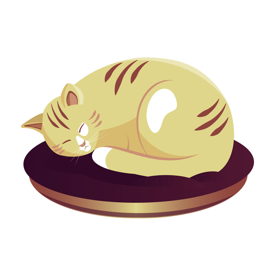 cat.jpg