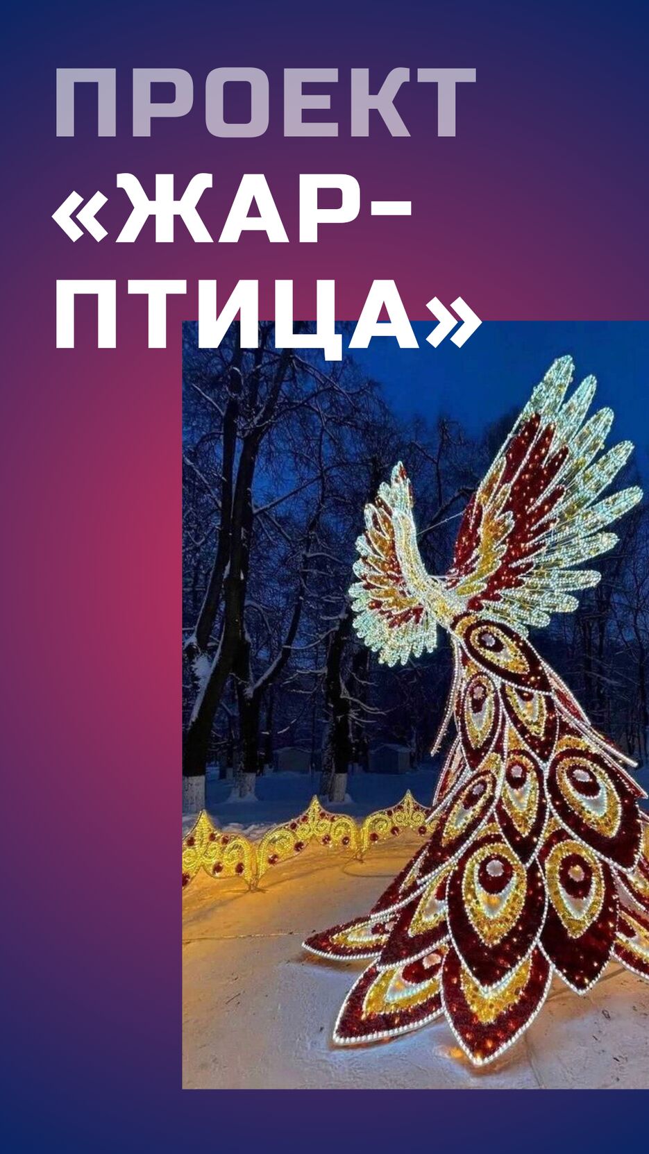 Синяя и Розовая Вертикальная Презентация для мобильных устройств на тему Образа жизни.png