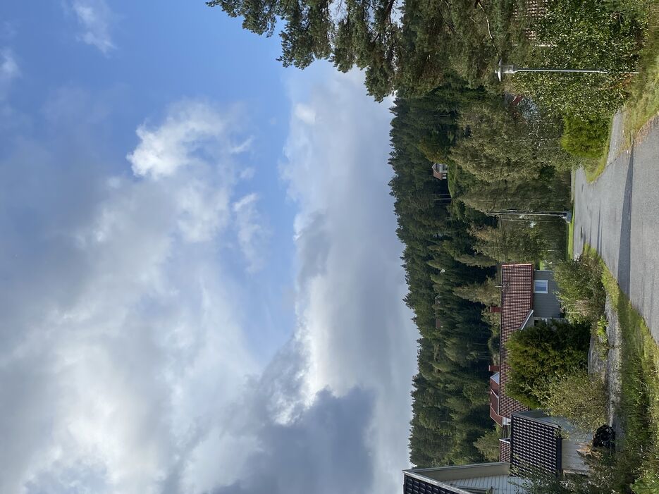 IMG_2762.jpeg