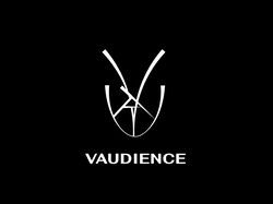 Логотип бренда одежды VAUDIENCE 