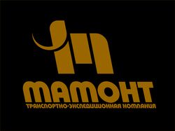 Логотип для транспортно-экспедиторской компании...