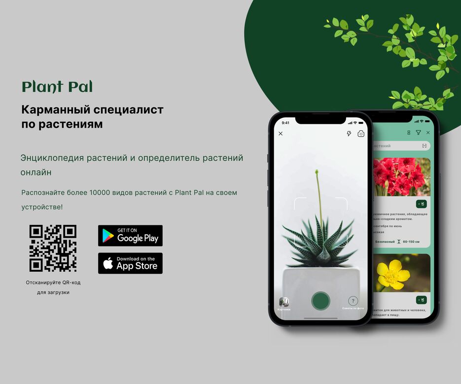 Plant Pal 1.png