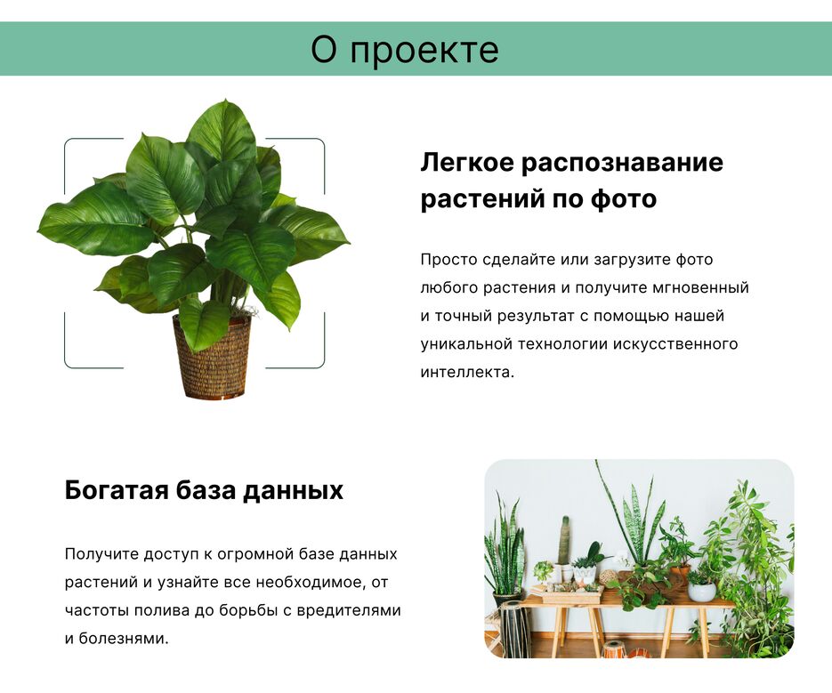Plant Pal 2.png
