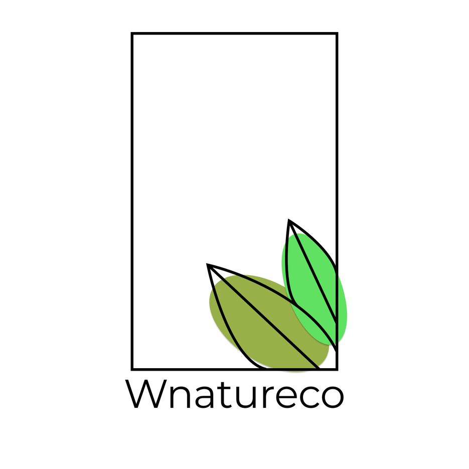 Frame 91.png