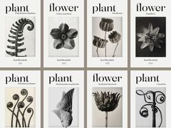 Posters plant&flower постеры с чб растения и цветы