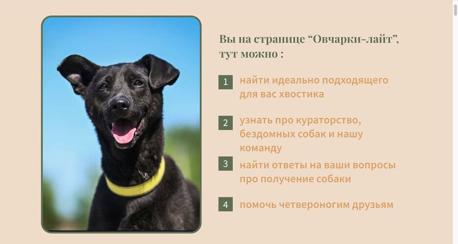 Снимок экрана 2023-09-29 в 4.34.23 PM.png