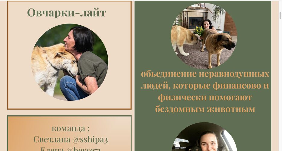 Снимок экрана 2023-09-29 в 4.35.18 PM.png