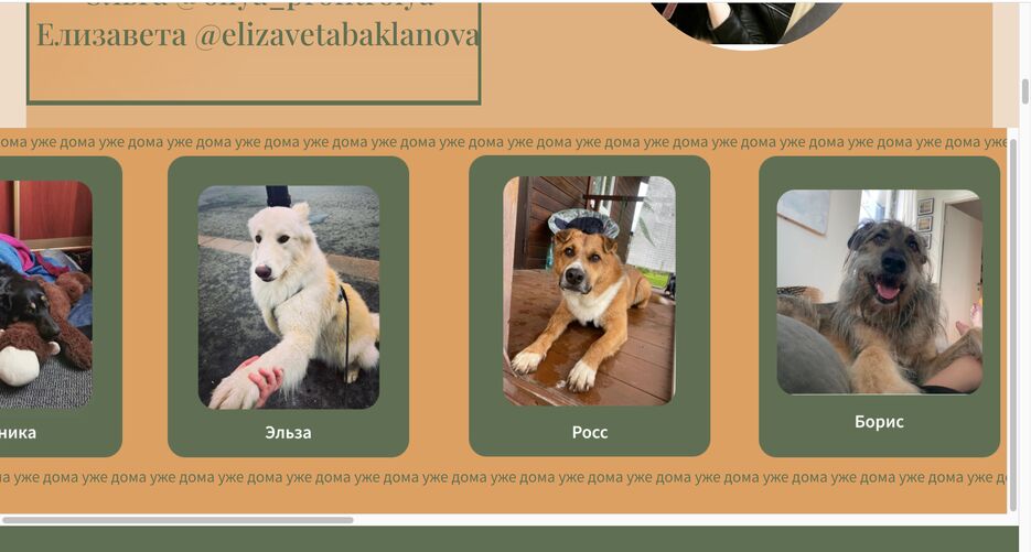Снимок экрана 2023-09-29 в 4.35.43 PM.png