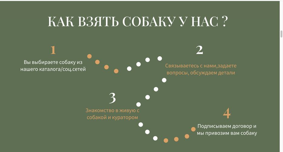 Снимок экрана 2023-09-29 в 4.36.12 PM.png