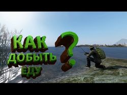 Как выживать в DAYZ ? Поиск и готовка еды. #dayz thefrozenwall dayz