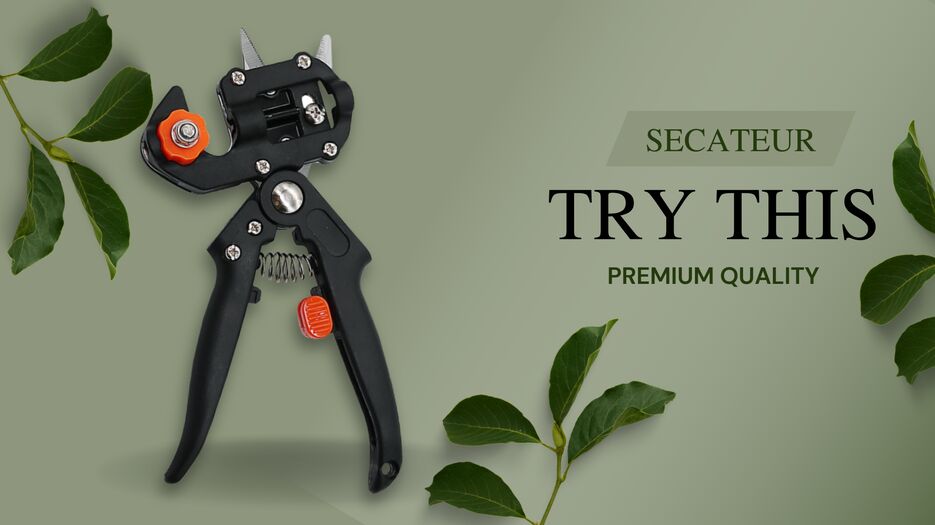 secateur (Фон робочого стола) (1).png