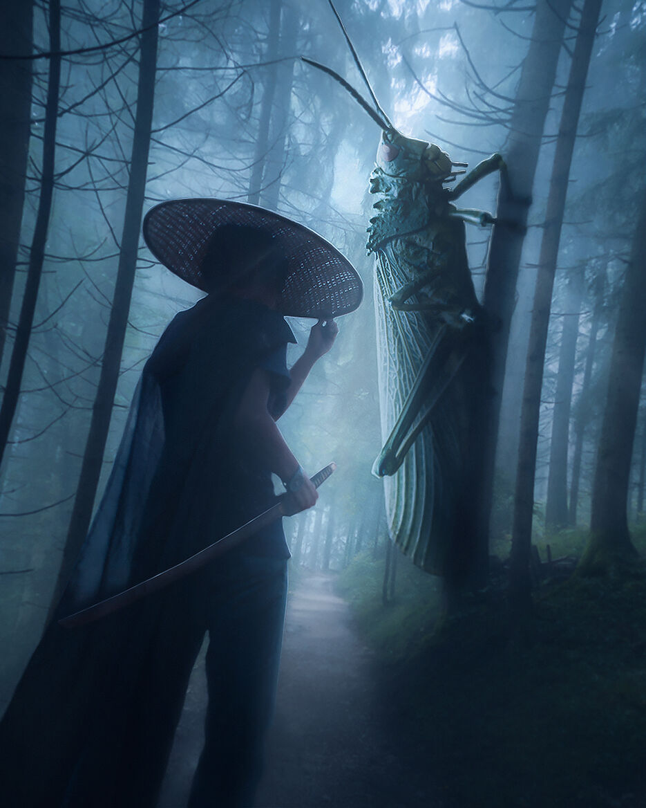 насекомы 32.jpg