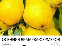 Баннеры