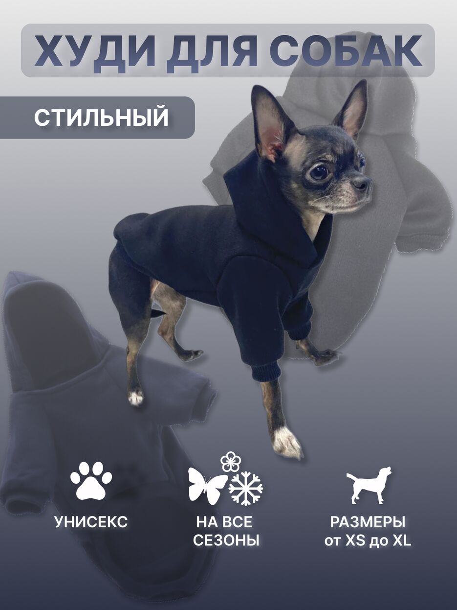 худи для собак 2.png