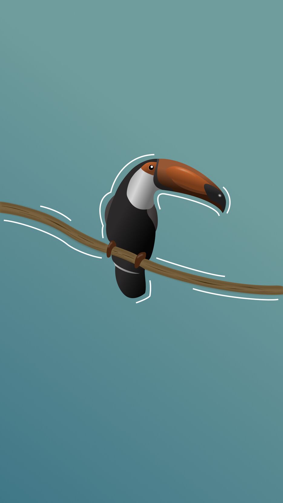 bird.png