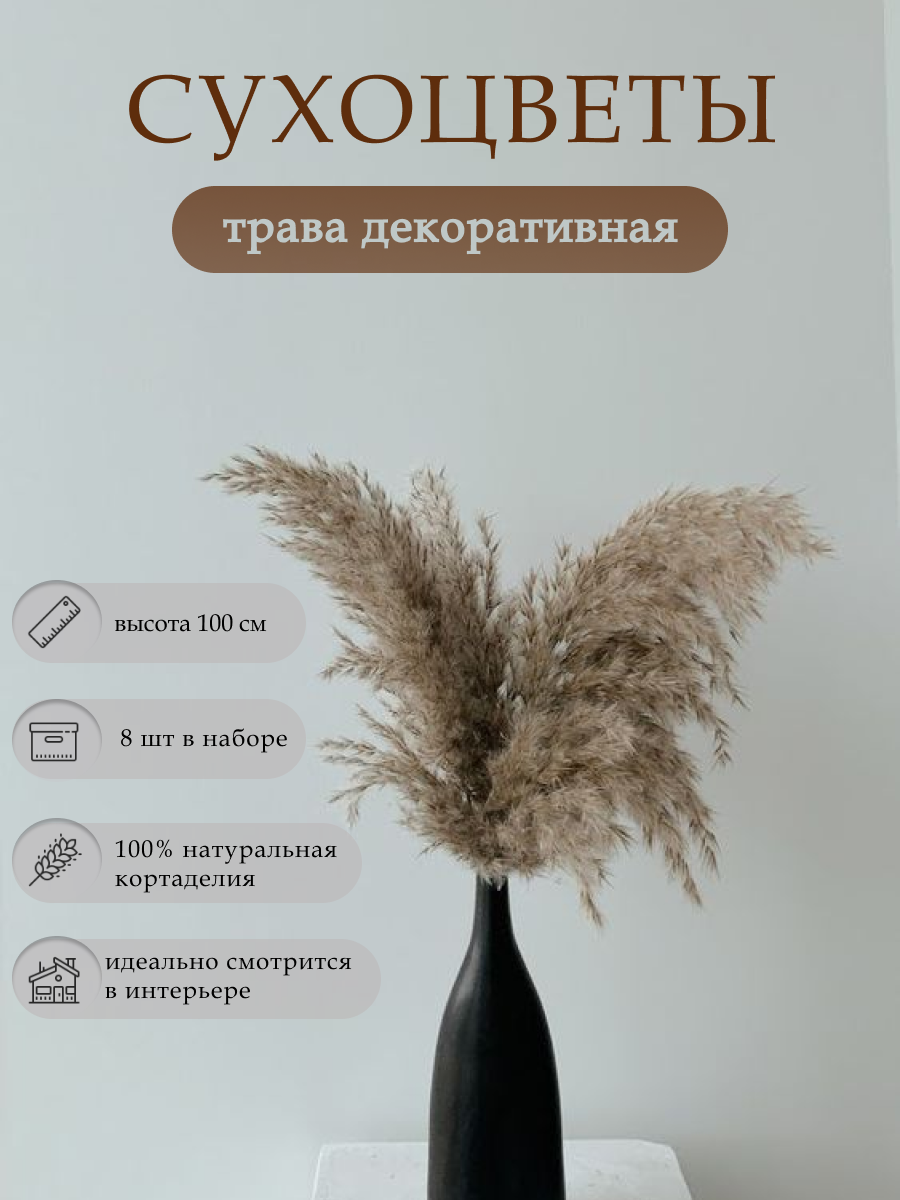 IMG_5739.png