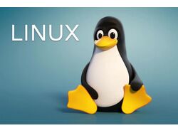 Установка OS Linux