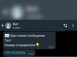 SportBot - бот WhatsApp