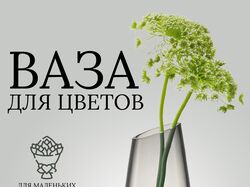 Инфографика