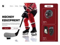 redesign nhl