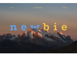  newbie newsletter site