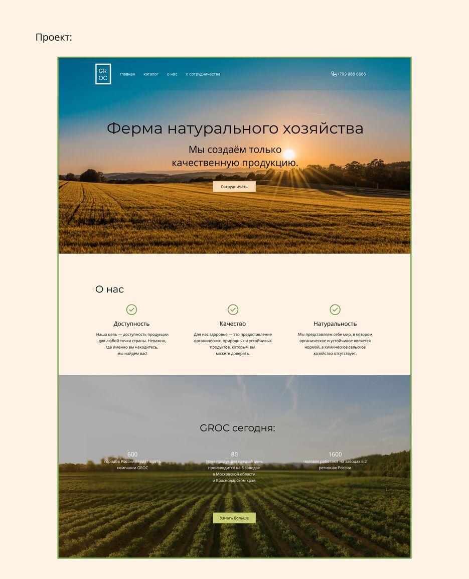 3473bf180429727.650ab4f5f38d6.png