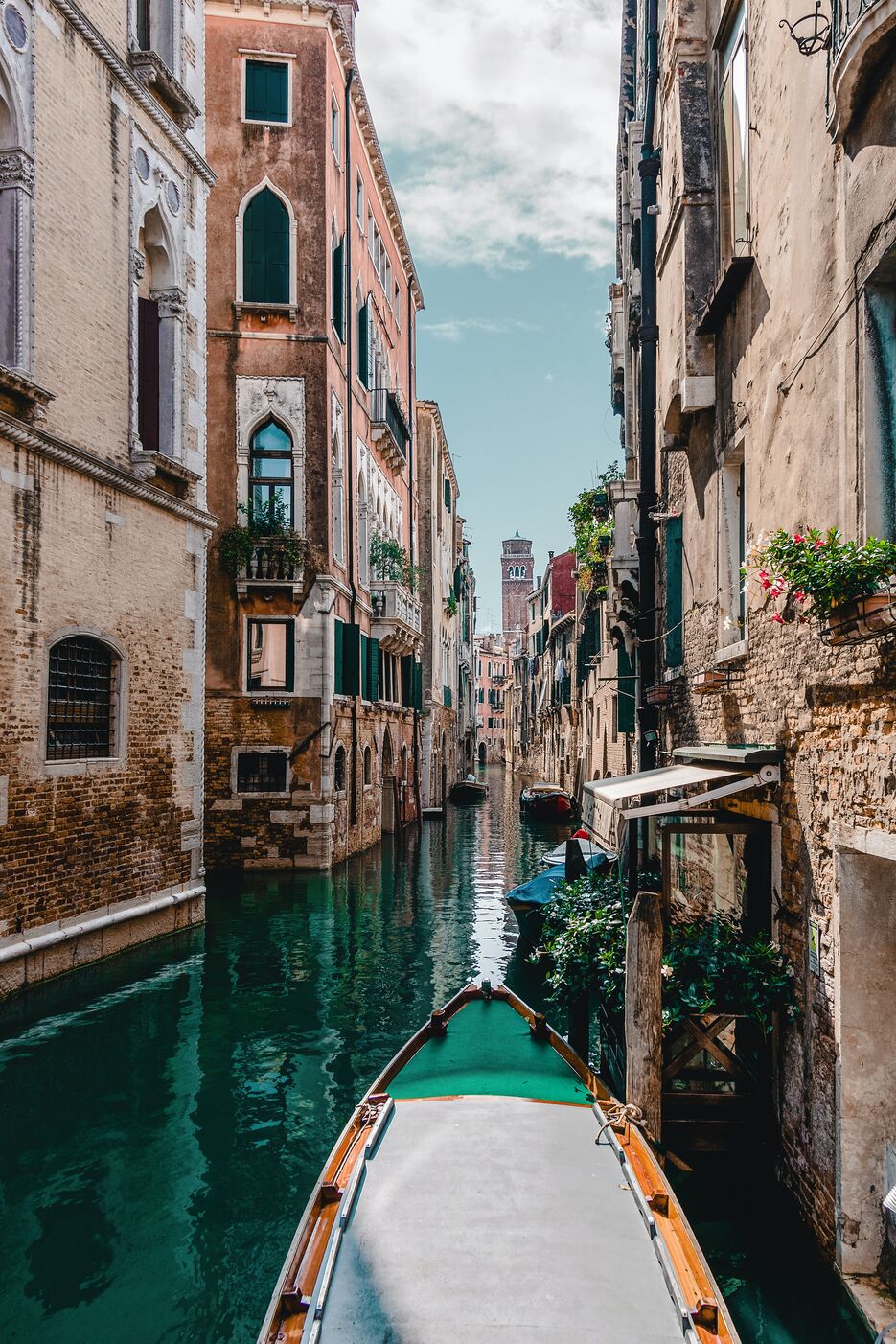 pexels-david-bartus-586687.jpg