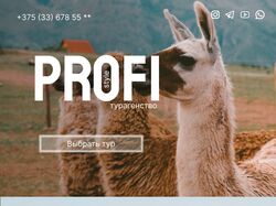 Profi 