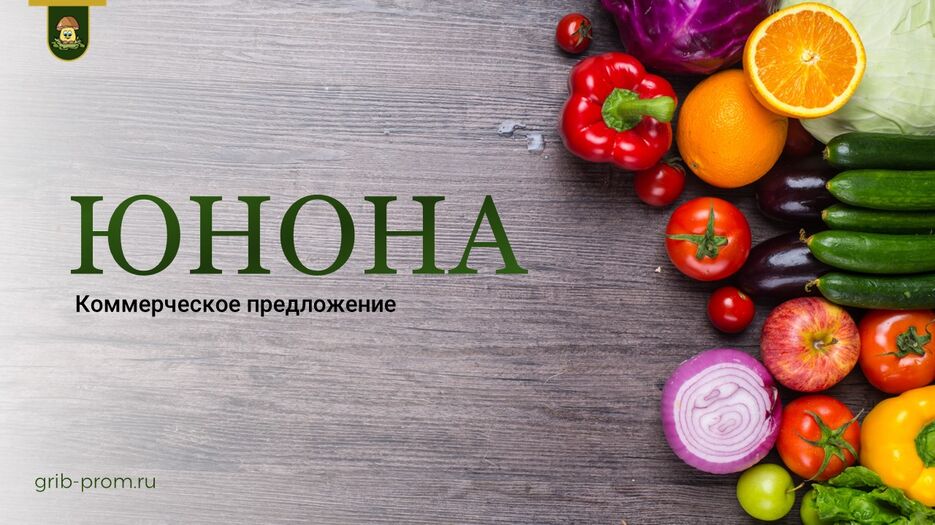 Слайд1.JPG