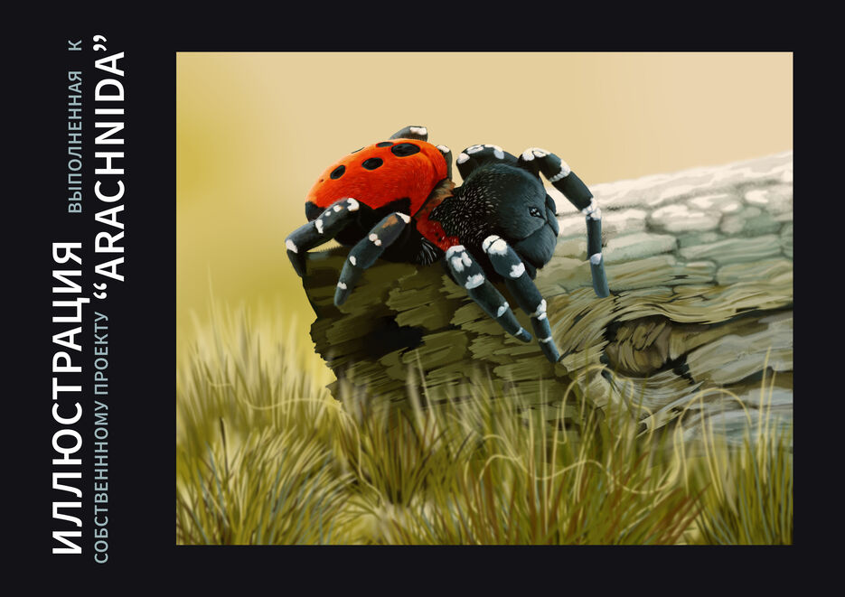 17arachnida.jpg