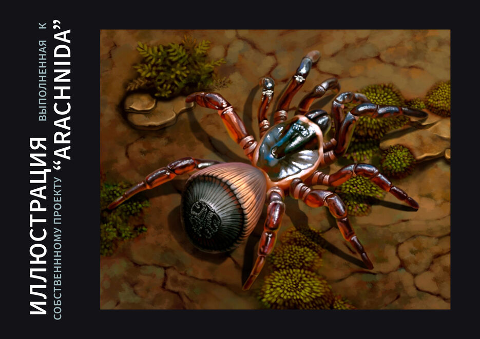 14arachnida.jpg