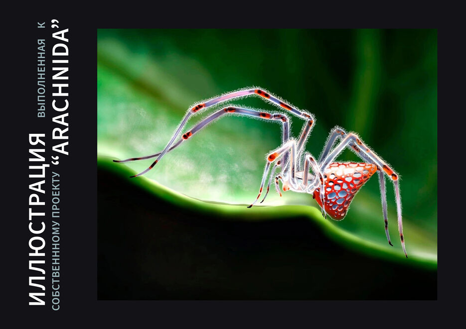 16arachnida.jpg