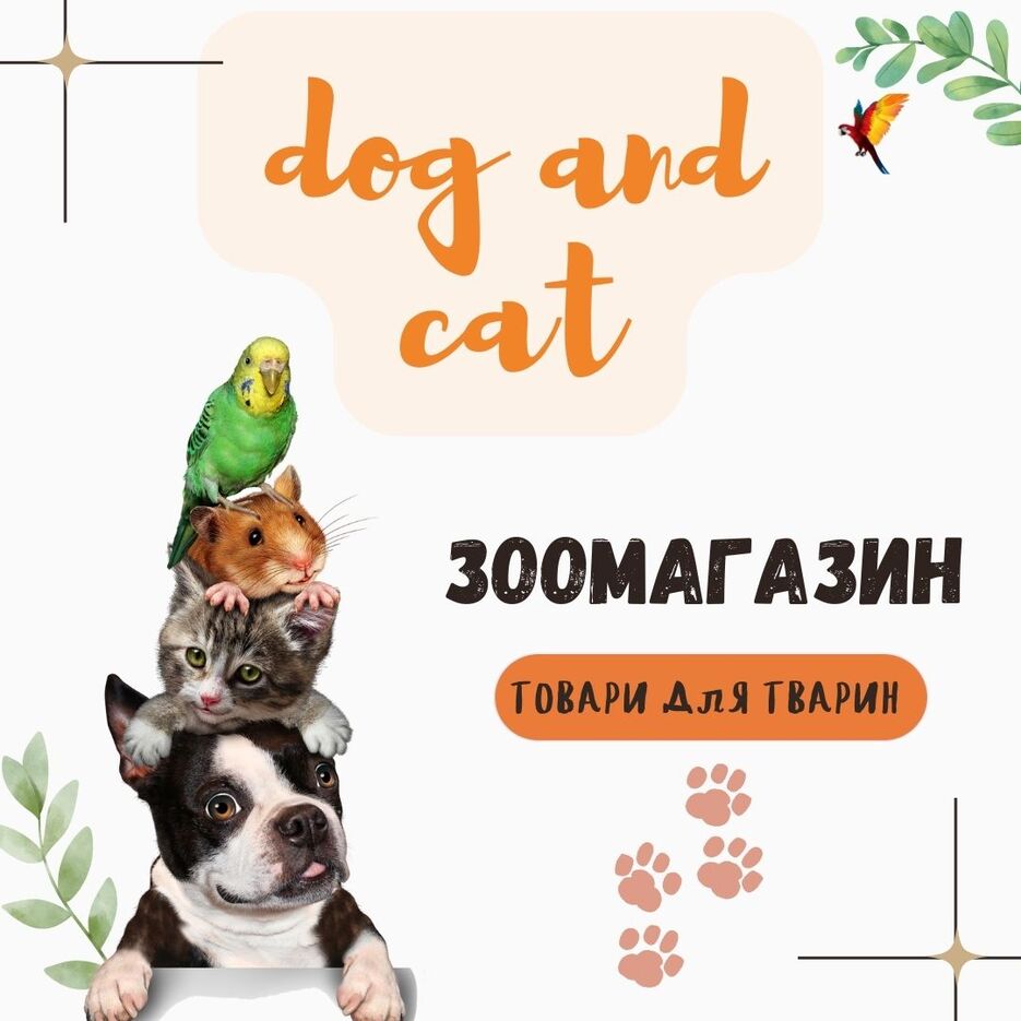 dog and cat.jpg