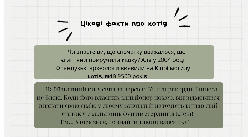 IMG_4508.jpeg